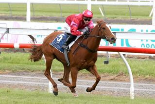 Timely Welcome Stakes Win for Prom Queen (NZ). Photo: Race Images, Christchurch.